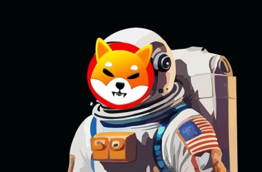 Shiba Inu space moon astronaut shib