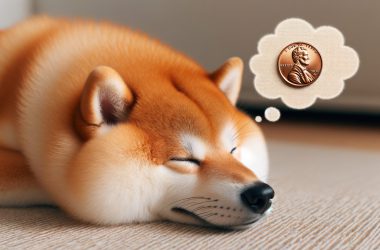 Shiba Inu