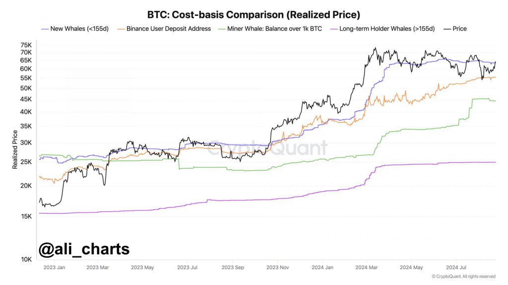  Bitcoin cryptocurrency fed announcements