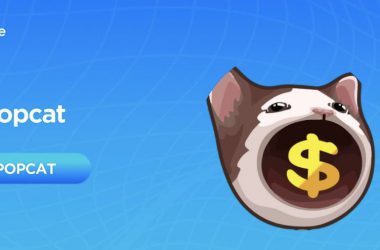 What is PopCat Crypto?