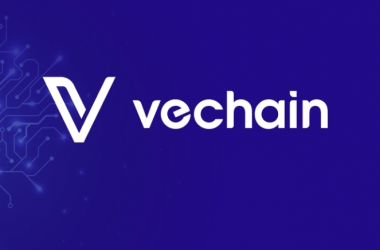 How to Add VeChain to MetaMask?