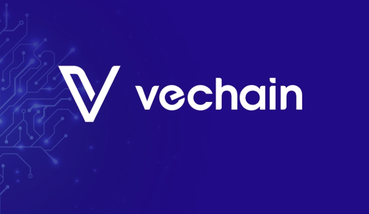 چگونه VeChain را به MetaMask اضافه کنیم؟