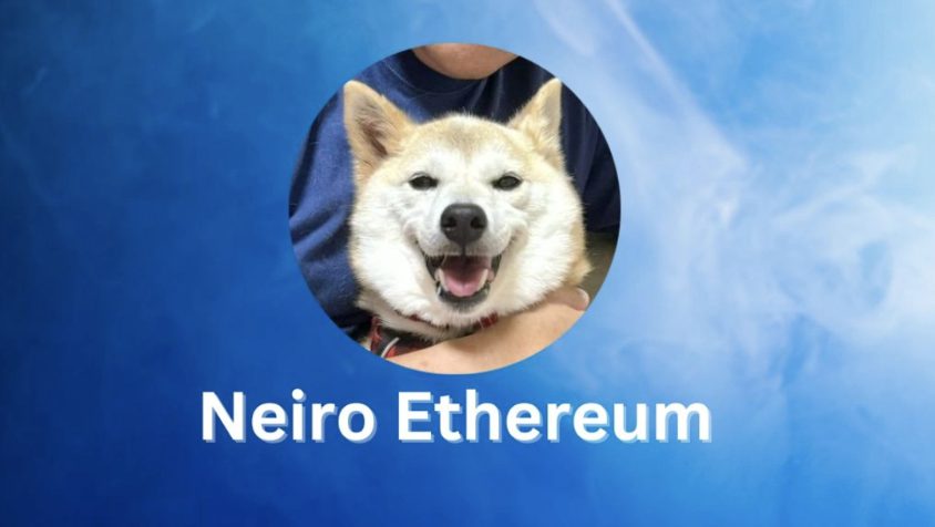 چگونه Neiro را به MetaMask اضافه کنیم؟