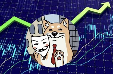 How to Add Neiro to MetaMask?