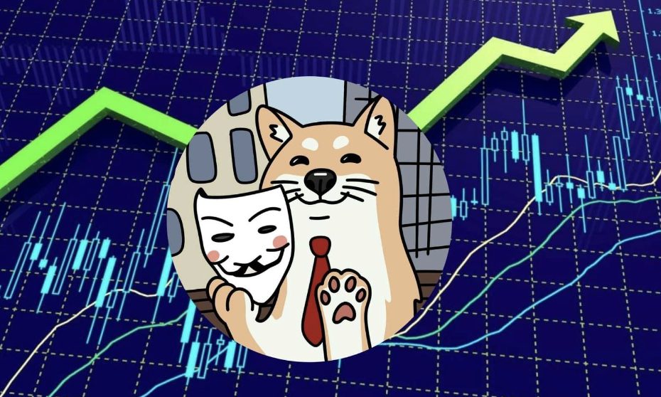 چگونه Neiro را به MetaMask اضافه کنیم؟