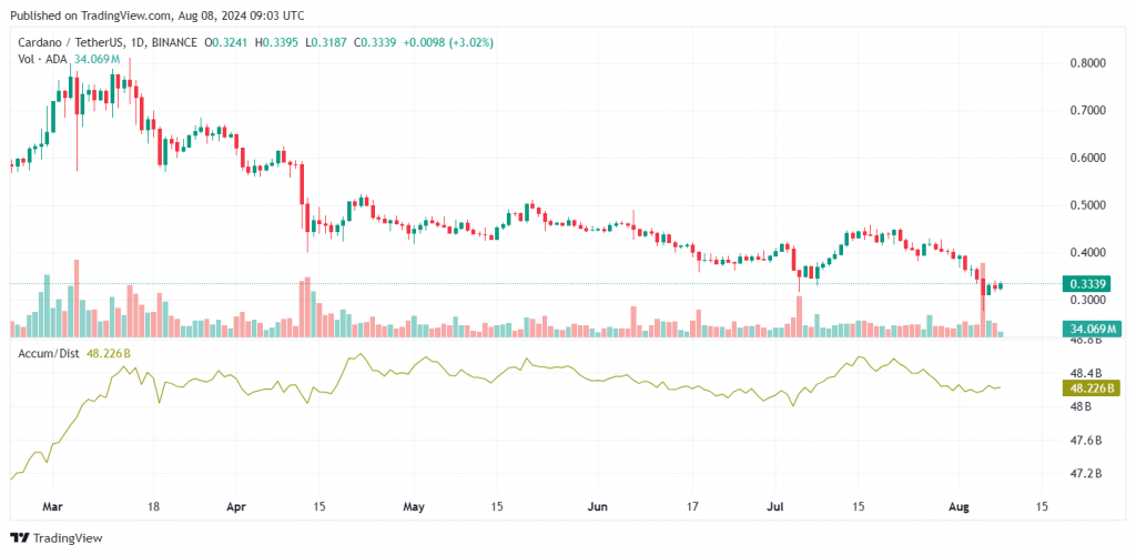 Cardano ADA Chang Hard Fork