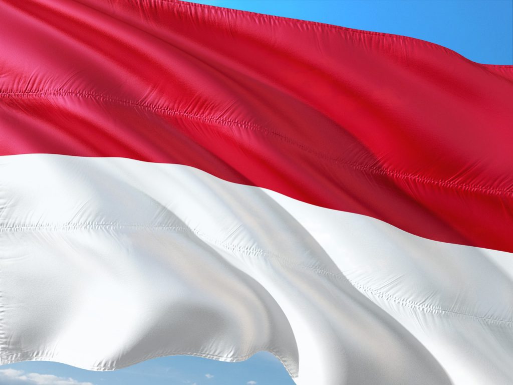 Indonesian Flag