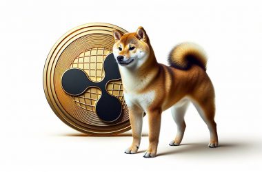 SHIB next to XRP