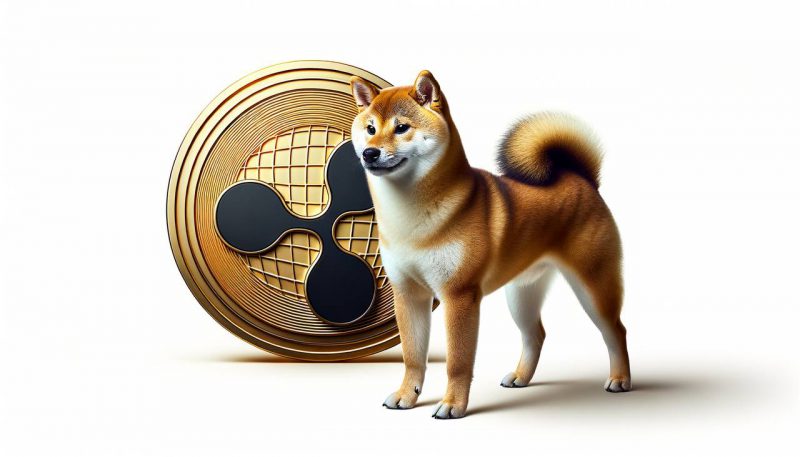 SHIB next to XRP