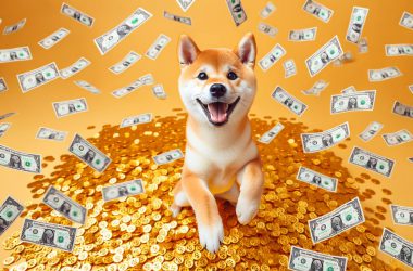 SHIBA INU PLAYING WITH MONEY