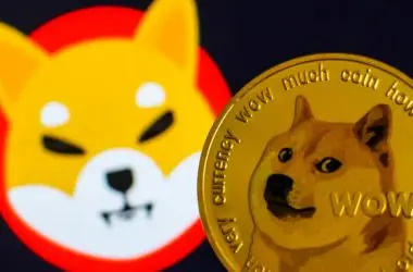 Shiba Inu Dogecoin