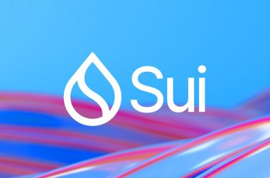 SUI with flowy colorful background