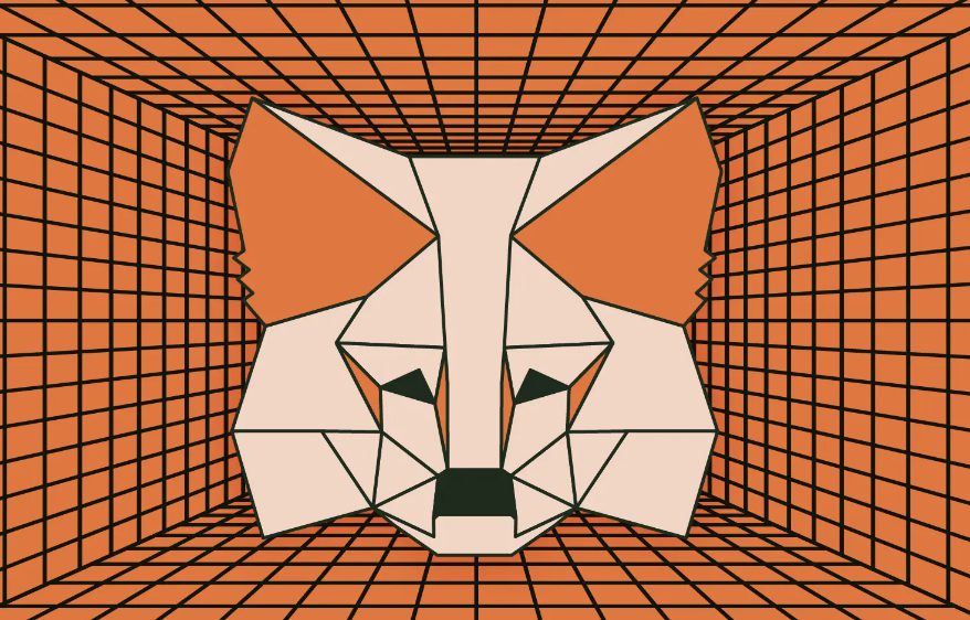 How to Add XRP to MetaMask? 