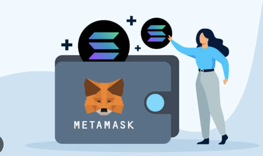 آیا MetaMask از سولانا پشتیبانی می کند؟