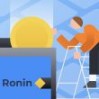 How to Add Ronin to MetaMask?