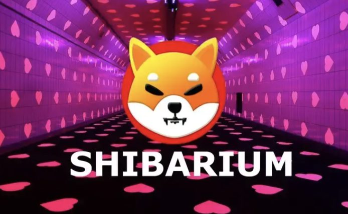 چگونه Shibarium را به MetaMask اضافه کنیم؟