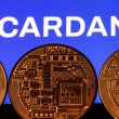 Is Cardano a Good Investment?