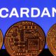 Is Cardano a Good Investment?