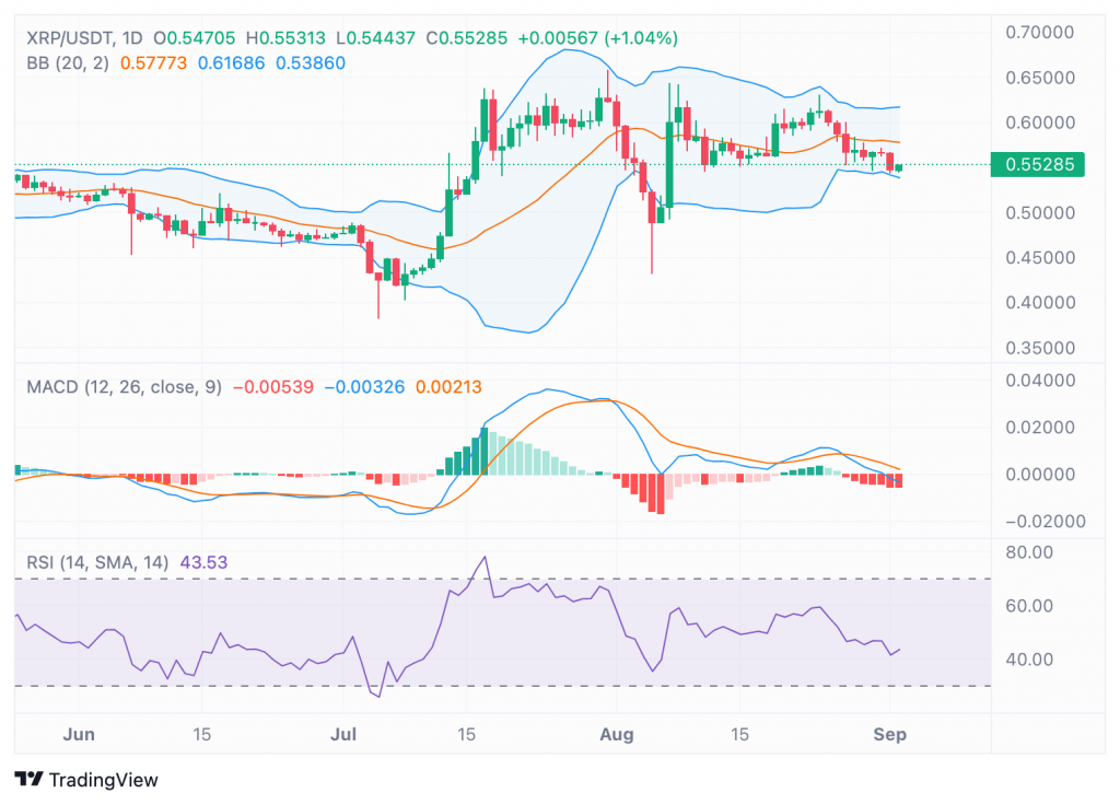 پیش بینی قیمت XRP، تحلیلگر ارزهای دیجیتال ریپل با اجرای گاوی XRP