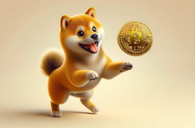 Shiba Inu Bitcoin