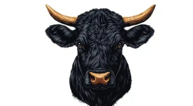 Black Agnus