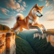 Shiba Inu