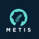 How to Add Metis to MetaMask?