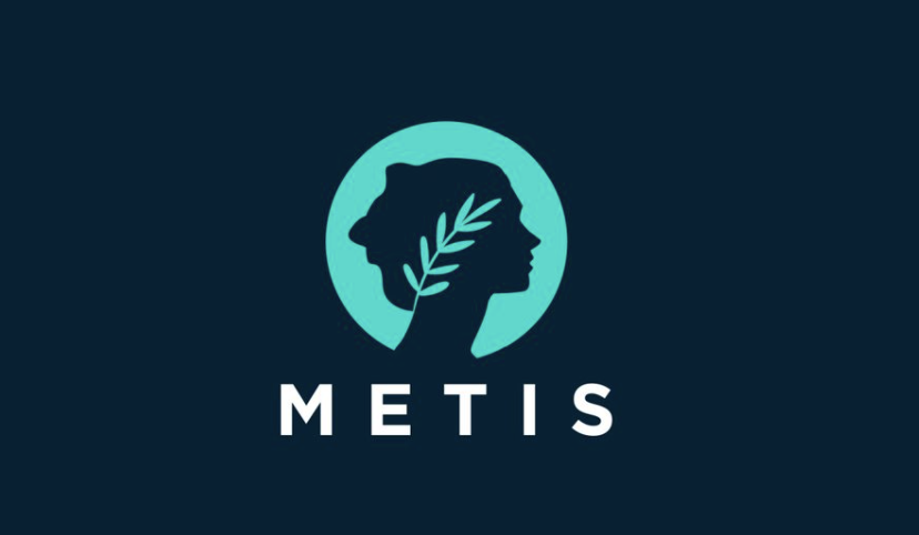 How to Add Metis to MetaMask?