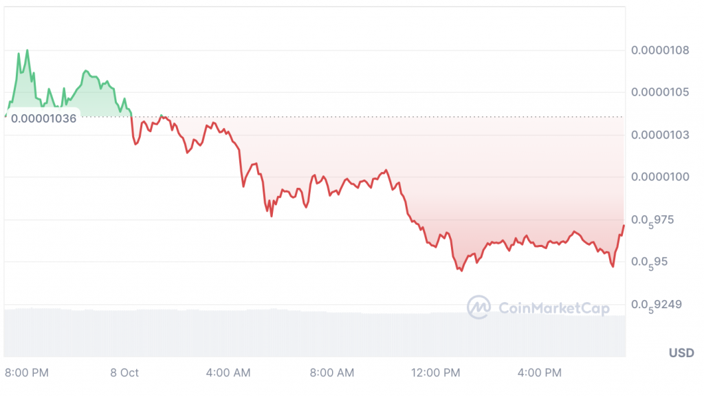 How High Will Pepe Coin Rise In October 2024?