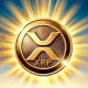 XRP Coin Sun