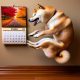 Shiba Inu witha november calendar