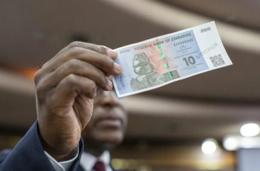 zig zimbabwe local currency backed by gold