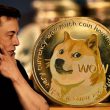 DOGECOIN