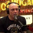 joe rogan podcast