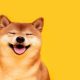 Shiba Inu