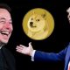 elon musk donald trump dogecoin doge cryptocurrency