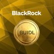 Blackrock BUIDL