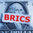 BRICS US Dollar USD Currency