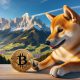 Doge playing with Bitcoin on a mountain