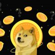 Dogecoin dog with crypto elements