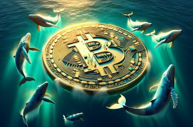 Bitcoin whales