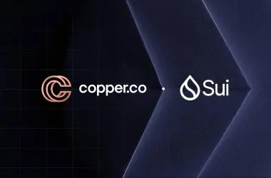 Copper Sui