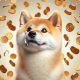 Shiba Inu falling coins