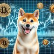 Shiba Inu Crypto background