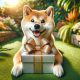 Shiba Inu with a present