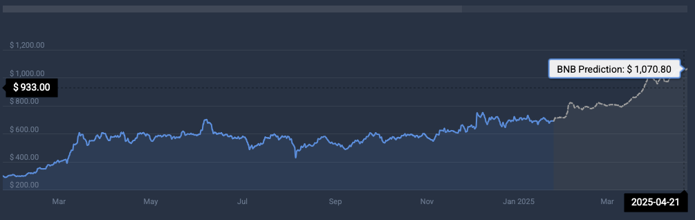 BNB terms  prediction