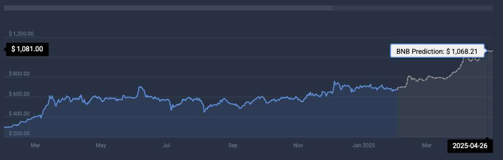 BNB terms  prediction