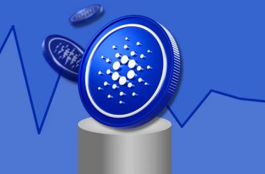 cardano coins