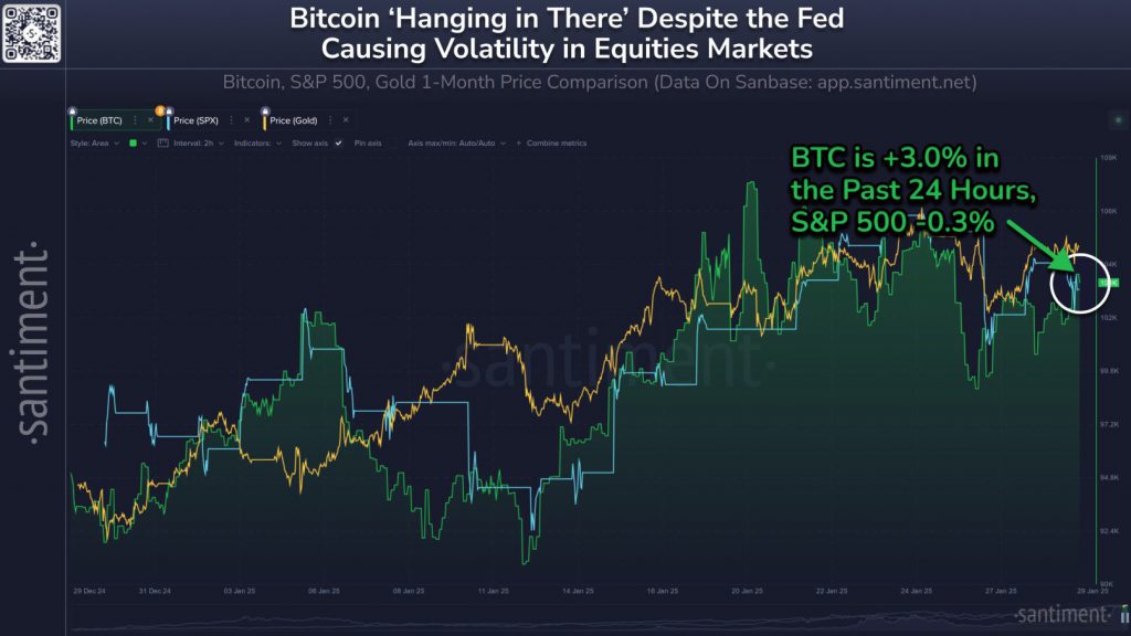 Bitcoin terms  chart