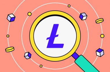 Litecoin LTC Logo